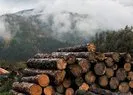 Avrupa’da enerji krizi odun şirketlerine yaradı!