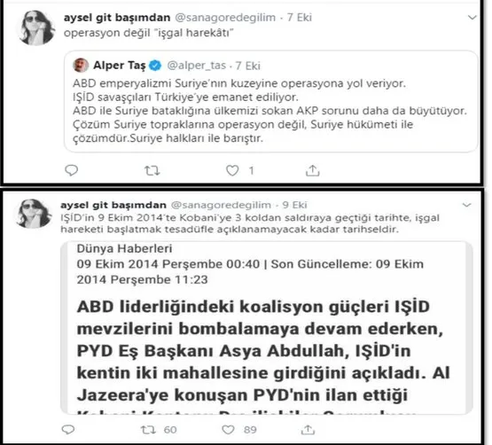 Barış Pınarı Harekatı ve Türkiye Cumhuriyeti'ne hakaret edene sahip çıktılar - 1