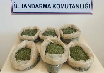 Bingöl'de uyuşturucu operasyonu