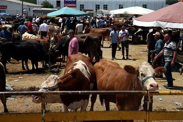Kurban Bayramı bereketiyle geldi! Çarşı-pazar hareketlendi - 5