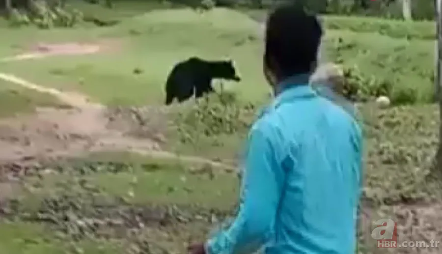 Ayılardan futbol resitali! Sosyal medyayı sallayan anlar 1