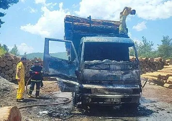 Adana'da tomruk taşıyan kamyon alev aldı