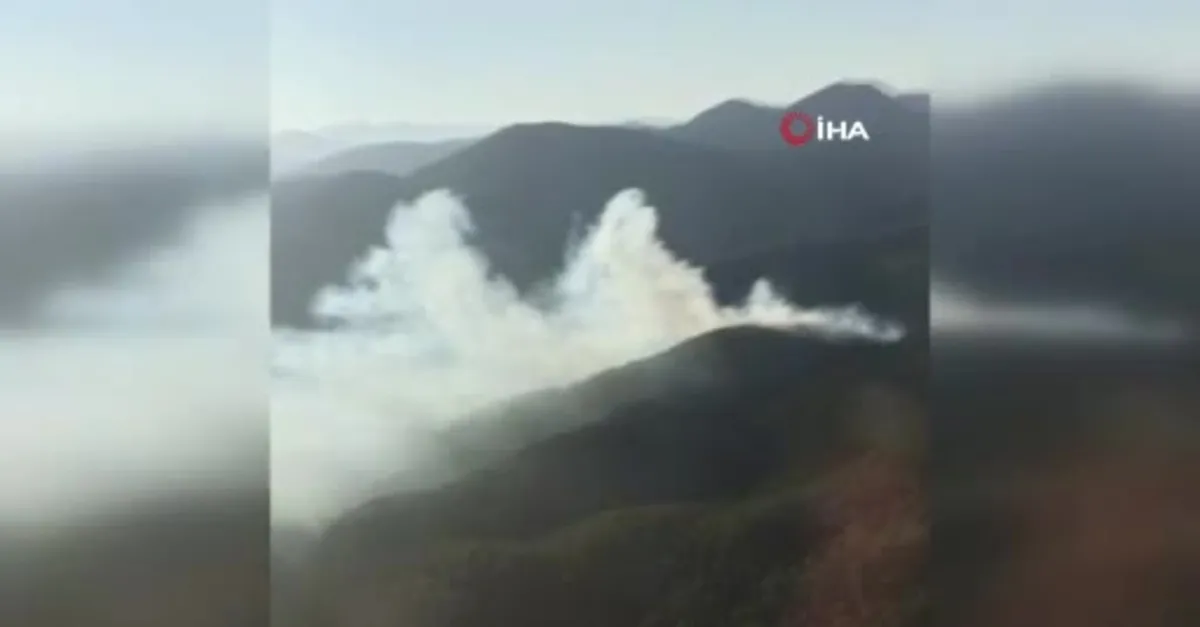 Adana’da çıkan orman yangını kontrol altına alındı