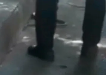Son dakika: İETT otobüsünde yılan paniği