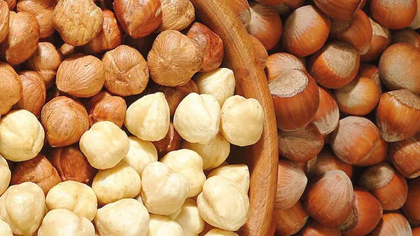 FINDIK FİYATLARI 28 KASIM 2023 GÜNCEL LİSTE: 🌰 Serbest piyasada fındık fiyatları ne kadar, kaç TL? Samsun, Giresun, Ordu, Trabzon...