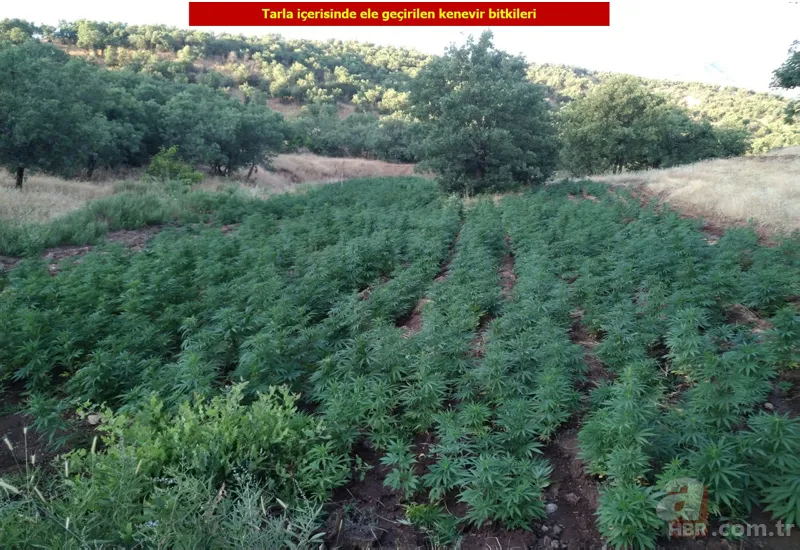 Diyarbakır'da uyuşturucu operasyonu! Tam 1 milyon... 8