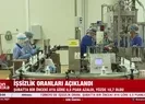 İşsizlik oranları açıklandı