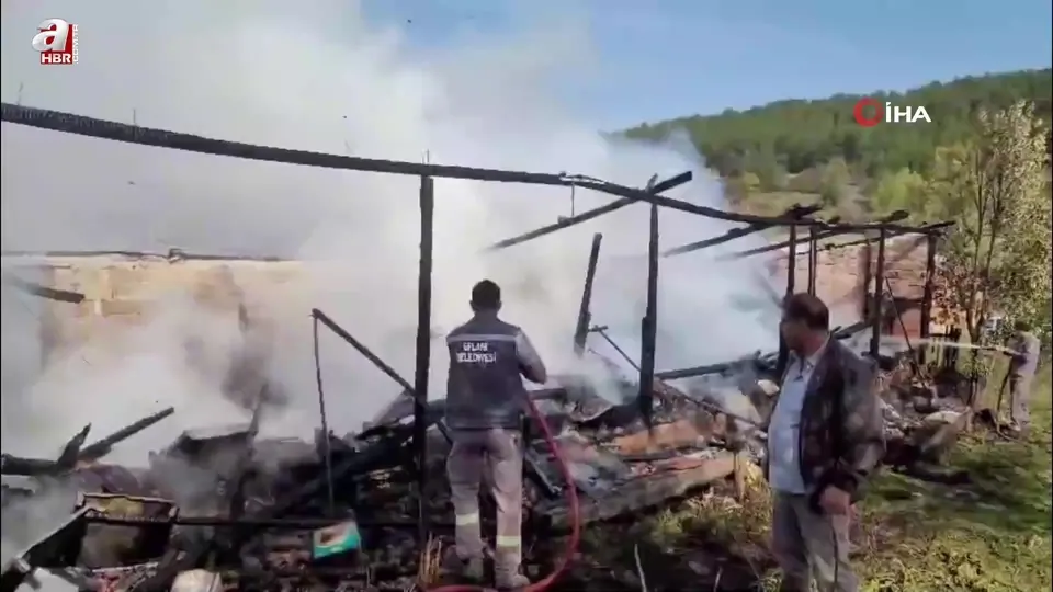 Yangında 36 kovan arı telef oldu