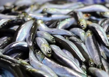 Araştırmayla kanıtlandı: Balık tüketmek kalp krizi riskini azaltıyor!
