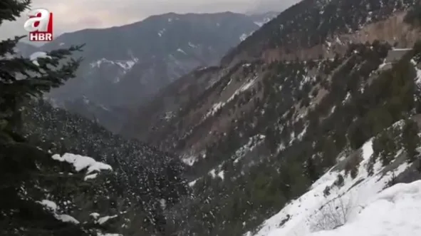 Zigana Dağı’nda kar yağışı etkili