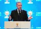 Başkan Erdoğan paylaştı: Bir Bayrak Rüzgar Bekliyor