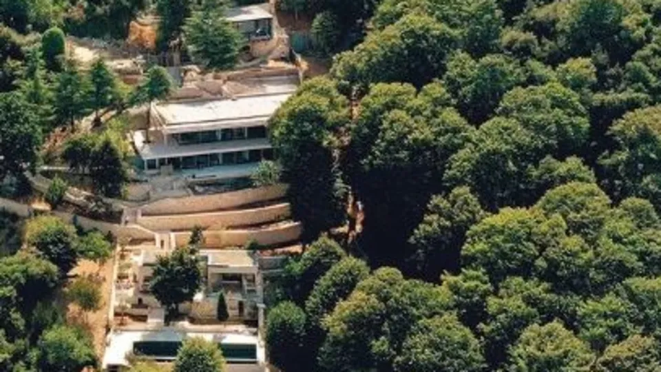 Kaçak villa için 100 ağaç kesildi