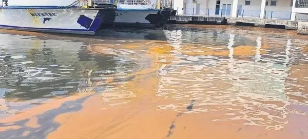 1699932617969.jpeg CHP'li İzmir Büyükşehir Belediyesi'nin "temiz" dediği Körfez aşırı kirli çıktı! - 4