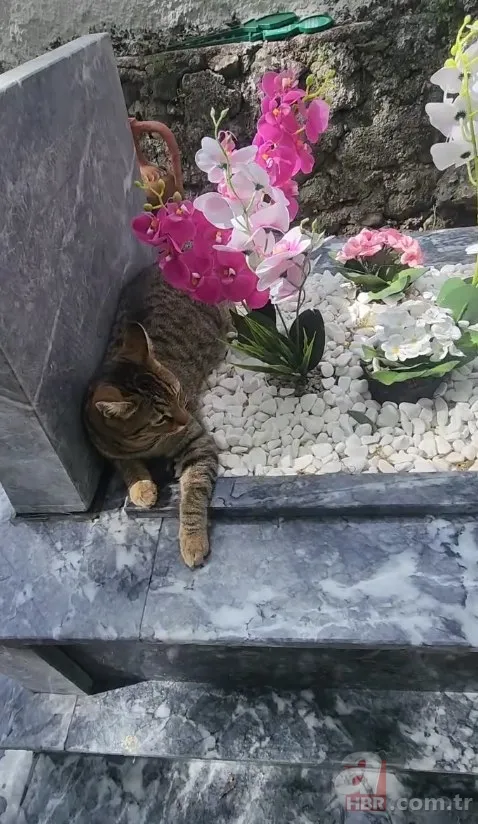 Safiye Soyman'dan yürek sızlatan paylaşım: "Oğluma kavuştum" 5