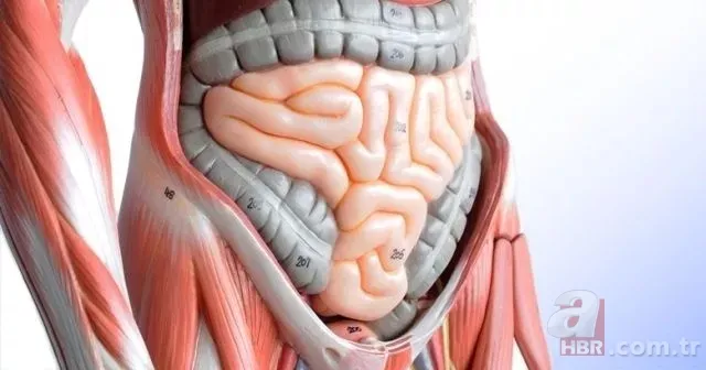 Sabah bir bardak suya tükürün! Tükürüğünüz suyun yüzeyinde kalmıyorsa… 25