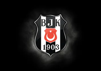 UEFA'dan Lyon - Beşiktaş kararı