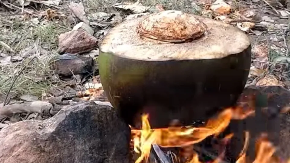 Böyle yemek pişirme yöntemi daha önce görülmedi! Hindistan cevizinde öyle bir şey yaptı ki...