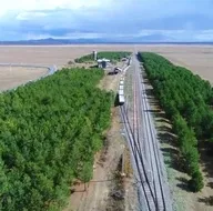 Bozkırın ortasında yemyeşil doğa! Hayran bırakan görüntüler