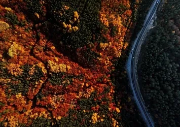 Domaniç Dağları'nda rengarenk sonbahar