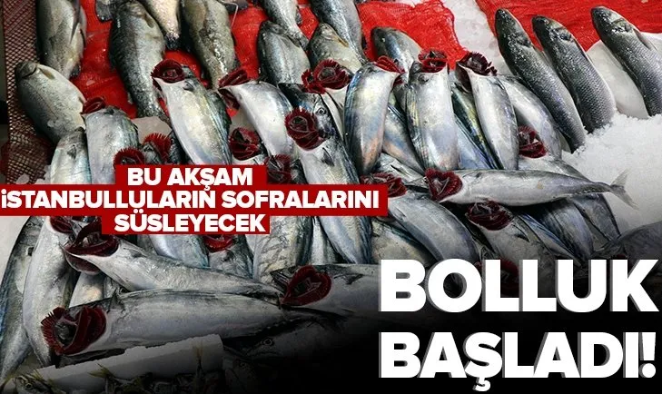 Balıkseverlere müjde! Yarım kiloluk palamut 15 lira