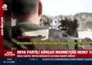 DEVA Partili Metin Gürcan Türk askerini hedefe koydu