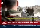 DEVA Partili Metin Gürcan Türk askerini hedefe koydu