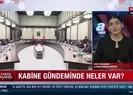Kabinenin gündeminde ne var?