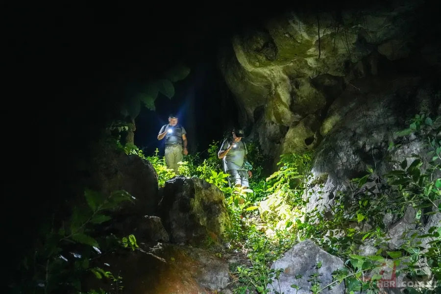 Mağaradaki gizli dünya: İlk kez uçan yılan türü görüldü 6