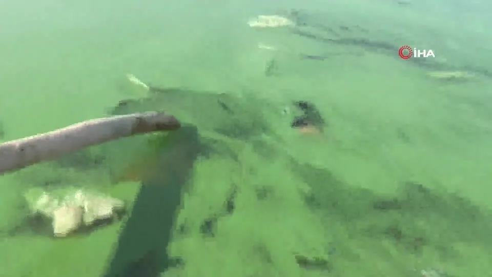 Adıyaman’da Atatürk Barajı’nda korkutan görüntü