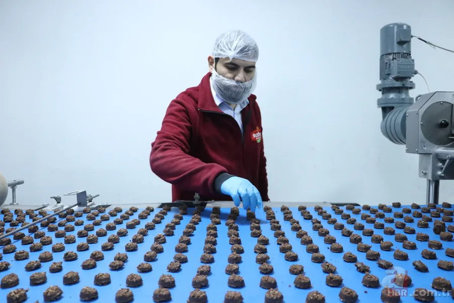 200 milyon TL devlet desteğiyle kuruldu! Kayseri'den 5 ülkeye ihraç ediyor 5