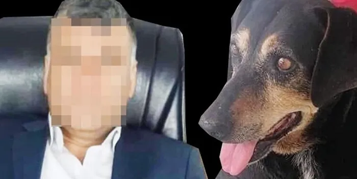 İstanbul’da kan donduran olay! Köpeğe işkence ve tecavüz - 1