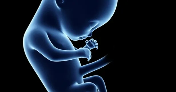 bagirsakta-buyuyen-bebek-olayi-soke-etti-doktorlar-gordukleri-karsisinda-dondu-meger-55-aylik-1702450654055.jpeg Bağırsakta büyüyen bebek olayı şoke etti! Doktorlar gördükleri karşısında dondu! Meğer 5,5 aylık... - 4