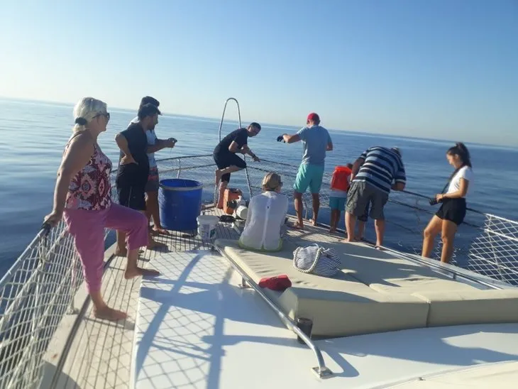 Antalya’da turistlerin köpek balığı şaşkınlığı
