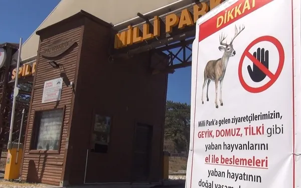 geyiklerin-elle-beslemek-yasaklandi-idari-para-cezasi-var-1665048981299.jpg Geyiklerin elle beslemek yasaklandı! İdari para cezası var - 5
