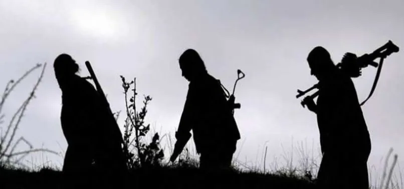 Eşine kızıp, PKK'ya katılmak isteyen kadın tutuklandı