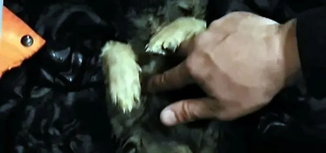 Soğuktan donan köpeği kalp masajıyla hayata döndürdü