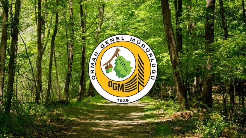 Orman Genel Müdürlüğü 150 orman mühendisi alımı yapacak! İşte başvuru şartları ve detaylar