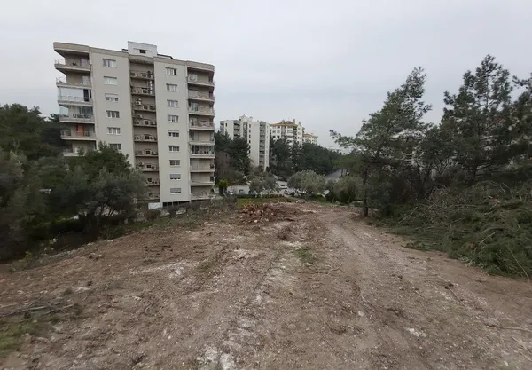 1688821508496.jpg Sözde çevreci CHP'li İzmir Büyükşehir Belediyesi'nden katliam: 50 yıllık çam ağaçlarını kestiler - 5