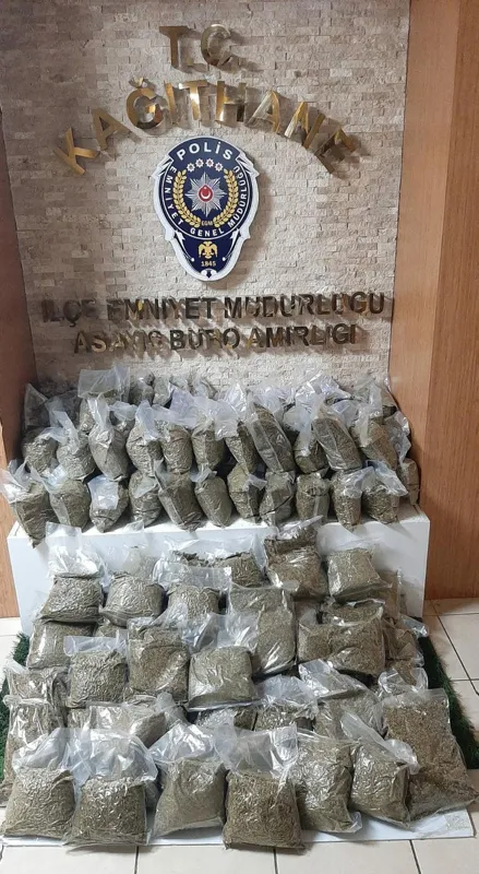 İstanbul’da dev bonzai operasyonu: 74 kilogram ele geçirildi