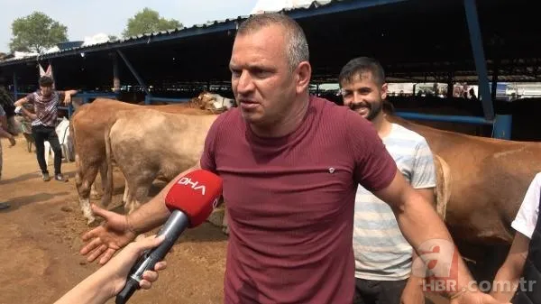 Kurban Bayramı'na saatler kala hareketli dakikalar! Kiminin kolu çatladı, kiminin boğası kaçtı 12